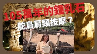 【南非之旅】探索神秘的Cango Cave和鴕鳥農場！你看過105萬年的鐘乳石嗎？地下洞穴探險實錄 手腳並用甚至吃土！最後還被鴕鳥攻擊！南非就這這麼好玩！ [upl. by Heisel610]