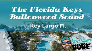 Key Largo Buttonwood Sound in the Florida Keys [upl. by Meelas708]