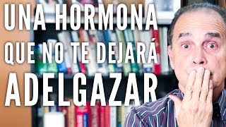 Episodio 1338 Una Hormona Que No Te Dejará Adelgazar [upl. by Bellda]