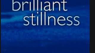 Perfect Brilliant Stillness AUDIOBOOK FULL David Carse  Ramesh Balsekar  Eckhart Tolle [upl. by Svetlana]