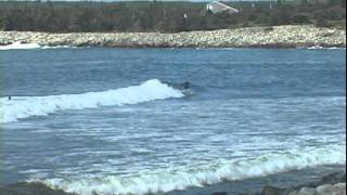 Surf Western Head Nova Scotia [upl. by Lizabeth]