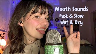 ASMR  Upclose Fast and Slow Mouth Sounds Wet and Dry and Hand Movements  Pure Mouth Sounds [upl. by Mlehliw753]