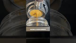 Making a good espresso espresso workflow shorts delonghi [upl. by Saxen]