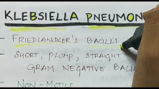 Klebsiella pneumoniae  Microbiology  Handwritten notes [upl. by Armilla]