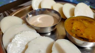 Idli Sambhar And Badaam Chuteny Shorts idli [upl. by Ateekahs]