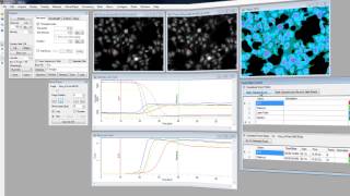 VisiView Application Module Online Ratio [upl. by Notreve976]