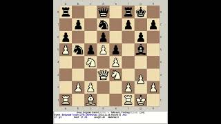 Deac Bogdan Daniel vs Milicevic Predrag I  Belgrade Trophy Chess 27th 2013 Obrenovac Serbia [upl. by Myrle309]