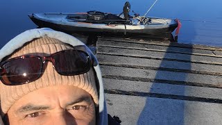 Lets Try A Drop Shot Set Up live fish fishing bassfishing [upl. by Freytag102]