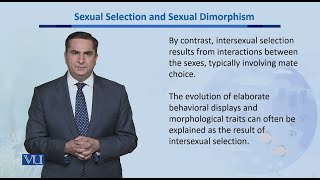 Sexual Selection amp Sexual Dimorphism  Biodiversity amp EvolutionII  BT201Topic171 [upl. by Nappy152]