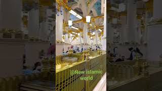 Duaa Nabisaw IslamicvideoIslamicreels MadinaSharifKiMohabbat Islamic video new islamic world [upl. by Urdna869]