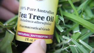 Tea tree oil for a bad nail [upl. by Lustig]