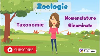 Zoologie  Taxonomie et Classification Binominale Expliquées  🐦📖quot [upl. by Trebuh]