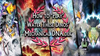 EDOPro How to Play DInomist [upl. by Tra]