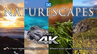 40 NATURESCAPES IN 4K  1 HR Nature Relaxation™ Video [upl. by Laurice]