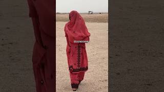 Baloch Girl new video  Wahab baloch new song  Balochi dresses beauty  Balochi new doch  pashk [upl. by Lentha]