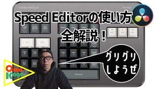 DaVinci Resolve Speed Editorの使い方全解説！「アレもできるしコレもできる！」 [upl. by Trah]