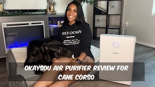 Cane Corso Review OkaySoU Air Purifier canecorso [upl. by Auqined453]