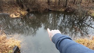 UNCLOGGING Beaver Dams In Culverts Bridges And Ditches OHH MY [upl. by Lindy]