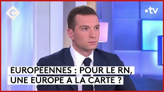 Européennes  demandez le programme du RN  Patrick Cohen  C à vous  28052024 [upl. by Kristen632]