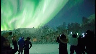 🇳🇴Chasing Lights in Tromsø Norway [upl. by Elynad]