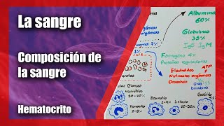 La sangre  Composición de la sangre  Hematocrito  Biometría hemática [upl. by Yovonnda]