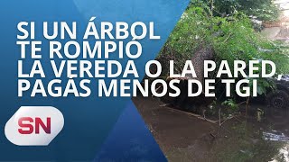 SI UN ÁRBOL TE ROMPIÓ LA VEREDA O LA PARED PAGÁS MENOS DE TGI [upl. by Ardnnek]