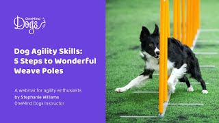 FREE Webinar Dog Agility Skills  5 steps to wonderful weaves [upl. by Muldon497]