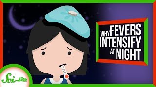 Why Do Fevers Get Worse at Night [upl. by Gerhan]