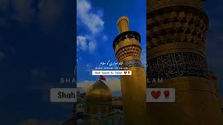 shah saware karbala ki shah sawari ko salaam [upl. by Natsyrt]