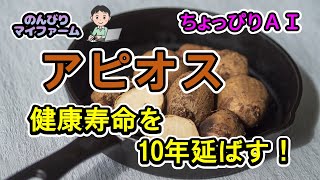 世界三大健康野菜のひとつ，栄養満点のアピオスの紹介と話題のチャットＧＰＴとグーグルアースの実力を診断 [upl. by Allista]