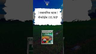 Indofil m45 fungicide farmer agriculture shetakari farming motivation [upl. by Ezechiel572]