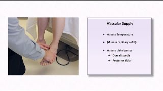 The Diabetic Foot Exam [upl. by Castro]