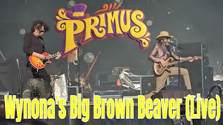 Welcome to Rockville 2024 Primus  Wynonas Big Brown Beaver [upl. by Alberto]