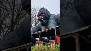 King Kong  Bobbejaanland 2023 [upl. by Aneleairam718]