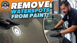 Waterspots on car paint wont come off Try this  Chemical Guys [upl. by Herrmann]