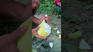 very funny comedy shortvideo🤣🤣desi pokhara [upl. by Freddi393]