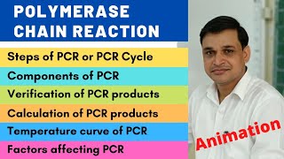 What is polymerase chain reaction Animation  Principle steps and components of PCR [upl. by Pet]