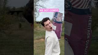 They came RUNNING and I got scared 😭😂 cows farm pets south fun vlog [upl. by Nadda]