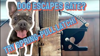 Dog Escapes Gate Try This SpringPull Latch DIY Fast Easy Inexpensive [upl. by Hopkins303]