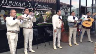 Mariachi Los Martinillos  Cartas Marcadas [upl. by Shellie416]