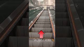 Admiralty station 1 of the longest escalator here in HK yt ytshort ytshorts yttravel [upl. by Ahtelahs461]