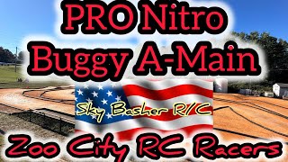 Zoo City RC RacersPro Nitro Buggy [upl. by Otcefrep]