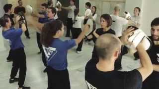 Wing Tsun Training Athens Greece  The original version [upl. by Iteerp]