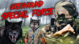 Greyhound Special Forces Commandos  Role  Training  Operations [upl. by Nilak]