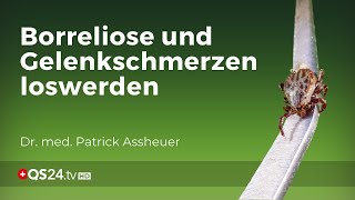 Effizientes Konzept gegen Borreliose und Gelenkschmerzen  NaturMEDIZIN  QS24 Gesundheitsfernsehen [upl. by Vincelette]