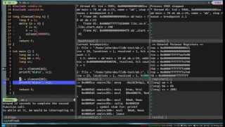 Nonblocking debugger integration in Vim [upl. by Roach]