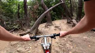 Retro Mountain Bike Proflex 856 RIDE FREE BIKE NorCal Demonstration Forest Sawpit [upl. by Neehs997]