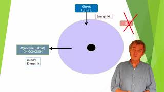 Cellens eneriomsättning del 1  ATP [upl. by Sami]