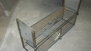 fabrication dun piège cage [upl. by Divadnoj46]