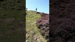 Gower Coast Walk Rhossili Bay – Summit [upl. by Anyr]